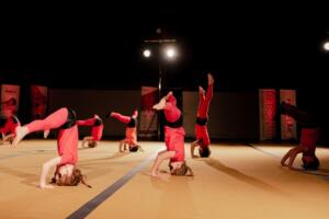 SHOW 5 flik flak zaffelare Showweekend 2023 Fleur De Backer 72 69