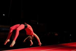 SHOW 5 flik flak zaffelare Showweekend 2023 Fleur De Backer 72 70