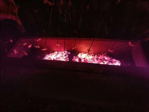 IMG20211112194804